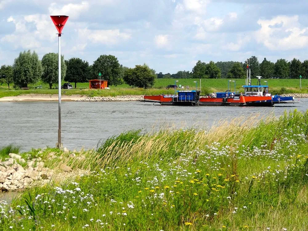 Wijhe: 20140723 Wijhese veer over de IJssel